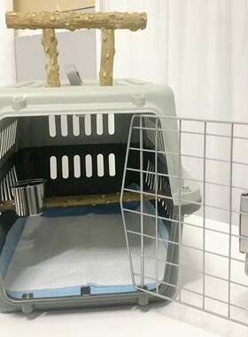 高端精品秃鼻航空箱红嘴航空箱白颈航空箱外出笼鸟类航空箱乌鸦