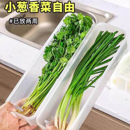 Food-grade storage boxes for keeping green onions, cilantro,