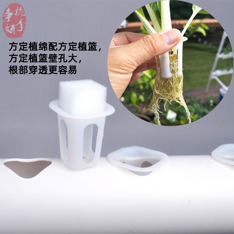 无土培种菜机栽新手种菜套装耕水草莓三培三排三层排三层水培设备