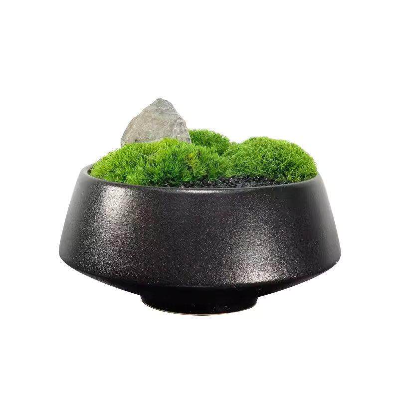 新中式花艺绿植观样板房客厅售楼处永生植物青苔盆栽桌面摆垒德株