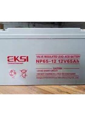 EKSI爱克赛UPS蓄电池NP100-12/12v7ah17a24a38ah65a100a120a150ah