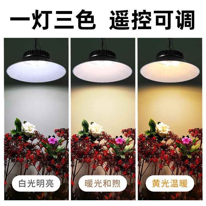 阳能照明灯防水灯庭三色变吊光院灯太超亮免布线室外花465园阳台