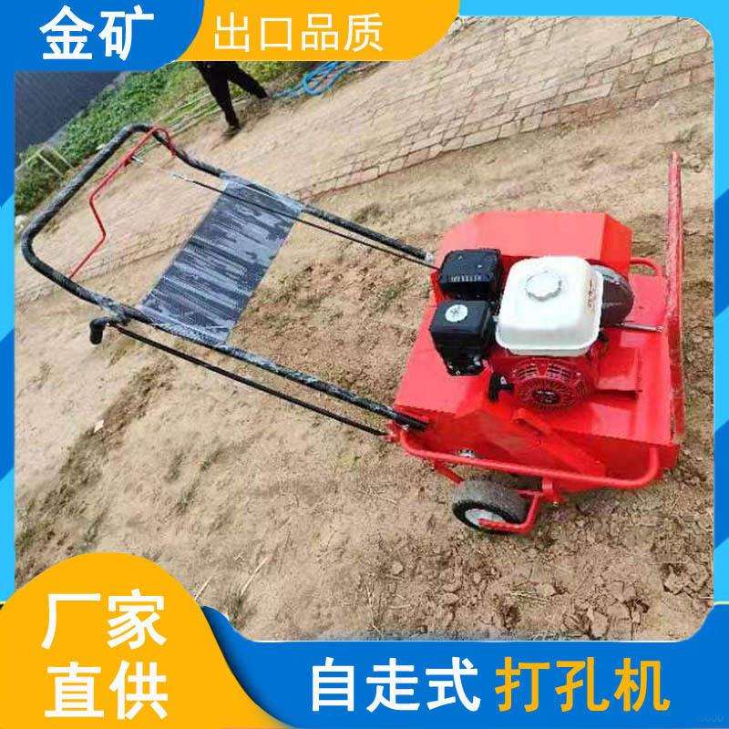 手推式草坪打眼机种植草坪打孔机园林养护草地透气钻孔机