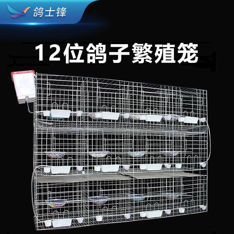 12位鸽子繁殖笼大型小鸟养殖笼加粗加细鹦鹉笼鸟笼工厂