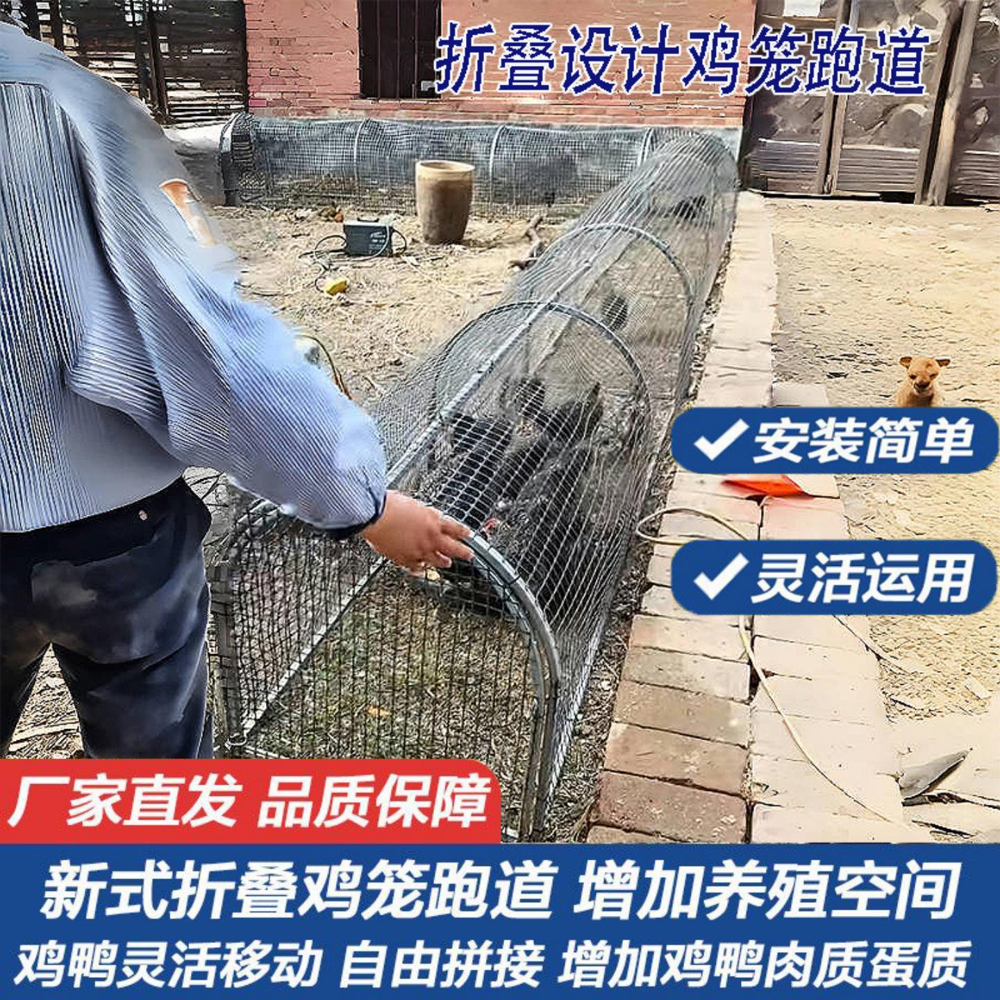 跑道鸡笼牛津网萌宠走地养鸡笼子菜地可折叠散养鸡多功能搭建宿舍
