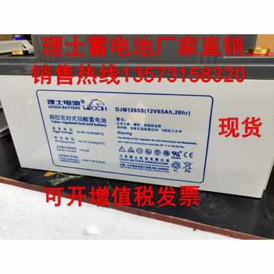 LEOCH江苏理士蓄电池DJM12100S铅酸免维护12V100AH 通讯设备 机房