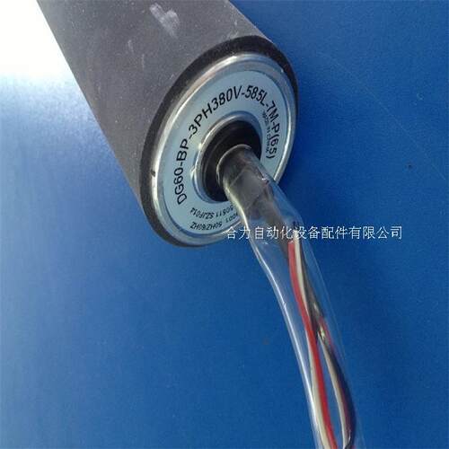 电动滚筒 交流电动滚筒DG60 3PH380V 长度可定制