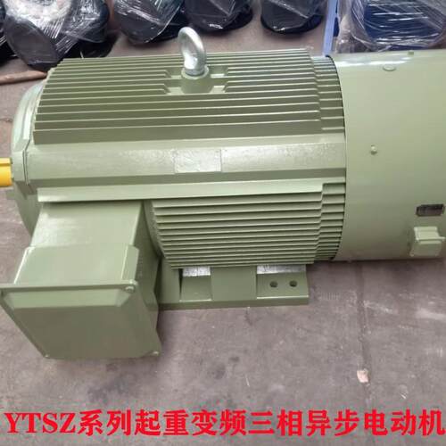 山东厂家直供YTSZ-315S-4/132W起重变频调速三相异步电动机