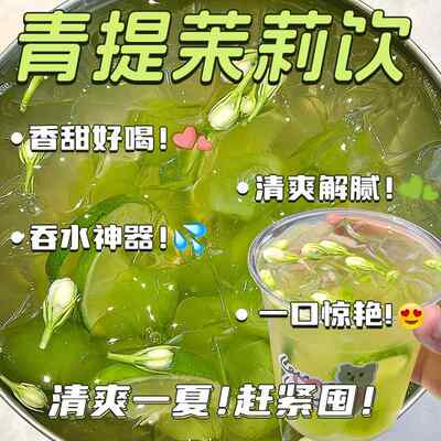 青提茉莉乌龙水花果茶包冷泡适合女生夏天喝的网红爆款冲泡水饮品