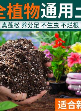 轻质营养土疏松透气种植土壤家用养花专用土绿植通用型泥炭营养土