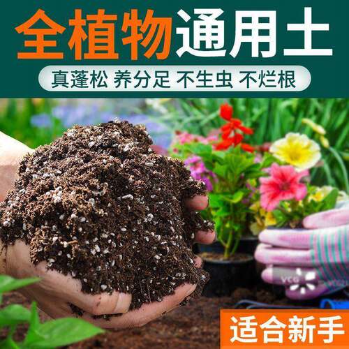 轻质营养土疏松透气种植土壤家用养花专用土绿植通用型泥炭营养土
