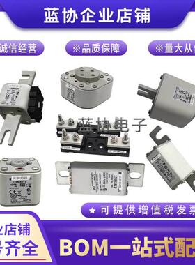 170M6618170M6619170M6620170M6621现货蓝协巴斯曼熔断器