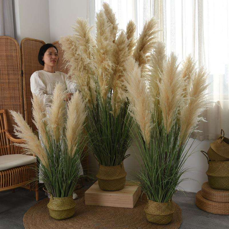 仿真芦苇绿植盆栽天然蒲苇干花室内民宿店铺橱窗造景装饰摆件