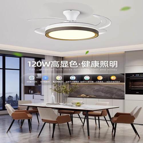 新款直销跨境新款风扇灯吊扇灯家用一体吊灯吸顶客厅餐厅48寸变频