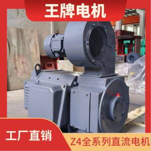 厂家直销 王牌电机Z4直流电机 Z4-132-1 DC motor 18.5kw/3000rpm