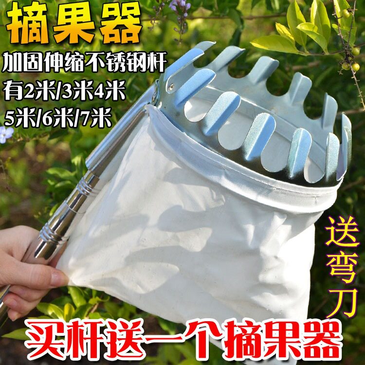 杨梅琵琶园艺工具其它园艺用品