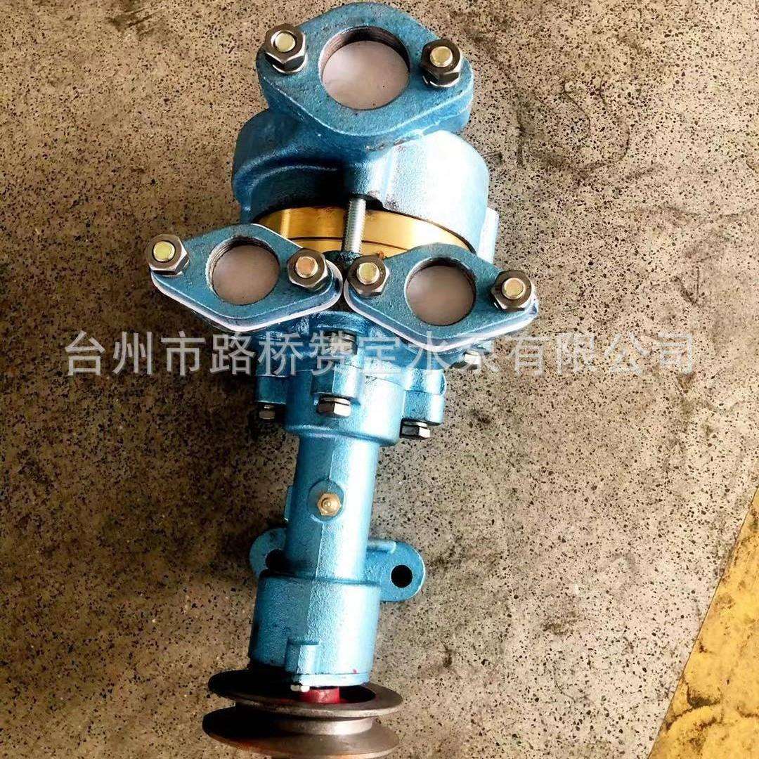 组合泵 海水泵船用水泵