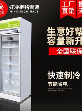铭雪立式冷冻柜速冻柜冰柜商用冷藏展示柜火锅食材冷柜大容量冰箱