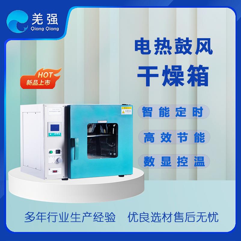 电热恒温鼓风干燥箱DHG-9070A电热鼓风烘干机高温干燥箱