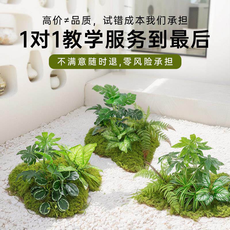 彷真绿色植物造景室内外苔藓微景观轻奢假蕨类无需养护景观装饰摆