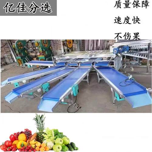 青枣分选机器 夏威夷果选果机 奇异果樱桃分级机 皮筋式分选机