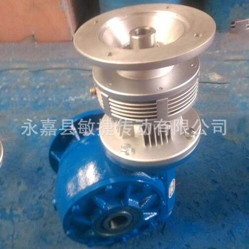 RD蜗轮配摆线减速机微型 带连接法兰 双级立式摆线针轮减速机90B5