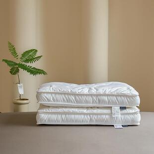 直销提花桑蚕奢享美肤蚕丝枕芯长丝护颈抗菌成人枕头48 74cm