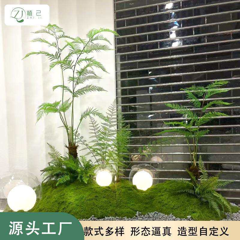 仿真绿植金丝猴蕨蕨树家居软装造景中式禅意工艺品商场橱窗蕨树厂