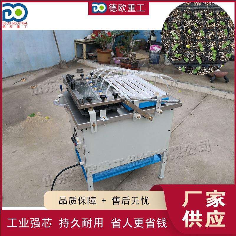 育苗盘播种器穴盘播种器加厚播种神器透明播种器白菜芹菜播种设备