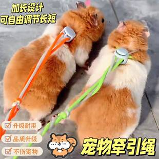 小仓鼠牵引绳背心式松鼠龙猫豚鼠荷兰猪兔子迷你绳子用品仓鼠外出