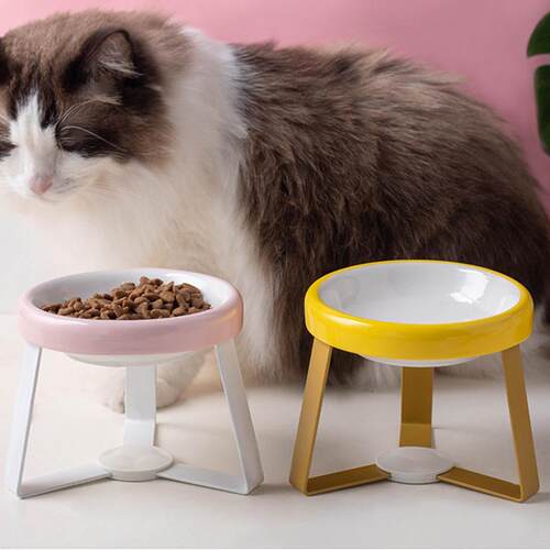 日本猫狗宠物碗亚马逊陶瓷猫碗保护颈防打翻猫粮碗不黑下巴饮水碗