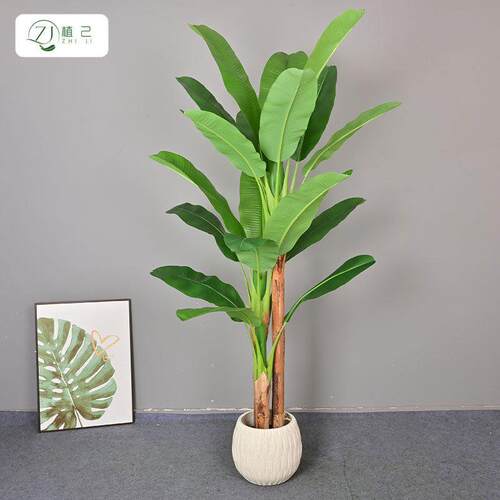 仿真绿植芭蕉树盆栽装饰室内家居商场造景大型落地植物假树摆件