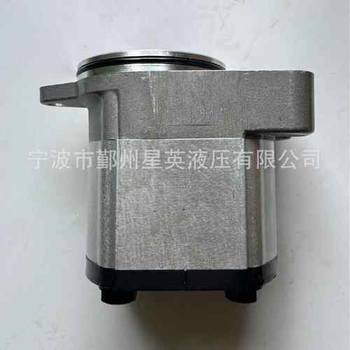 RexrothA8VO55A8VO80A8VO107A8VO140液压泵配件补油泵齿轮泵