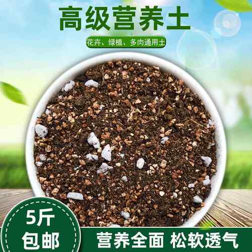 厂家高级营养土园艺种绿植植通用土萝种花土菜有08机绿草莓