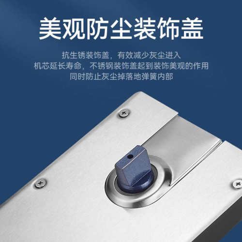 玻璃门地弹簧H220B重型818无框门有框门商铺大门地簧地弹璜通用型