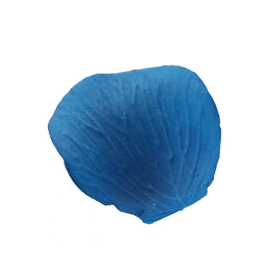 花花手感装饰布置花瓣婚庆玫瑰保湿仿真假花瓣花片片包1000节日1