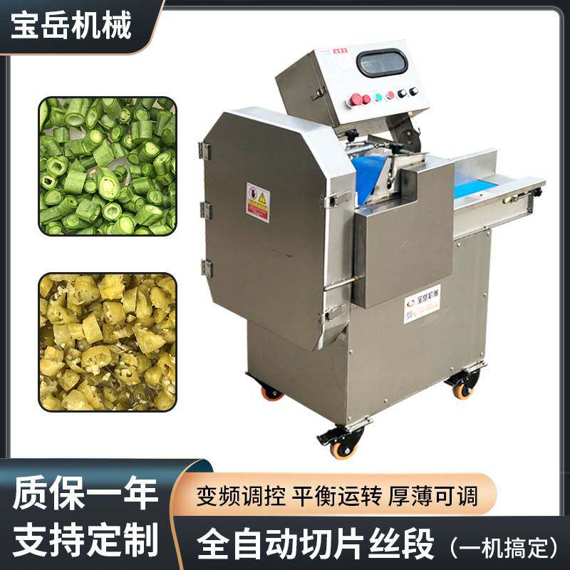 根茎类蔬菜类切片切丝机柜式商用切丝机大功率大口径带面板切丁机
