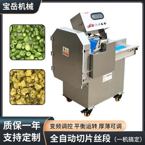 根茎类蔬菜类切片切丝机柜式商用切丝机大功率大口径带面板切丁机