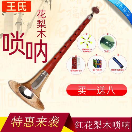 王氏初学唢呐A 降B C D 降E F 小g升g 大g 大D调花梨木唢呐乐器