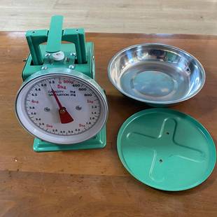 盘称1公斤5公斤家用小型台称食物托盘盘秤老式带盘子商用弹簧秤