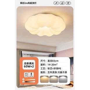 灯现代吸顶灯网简约亚克南瓜力蚊虫风led灯高亮红防房间奶油卧室