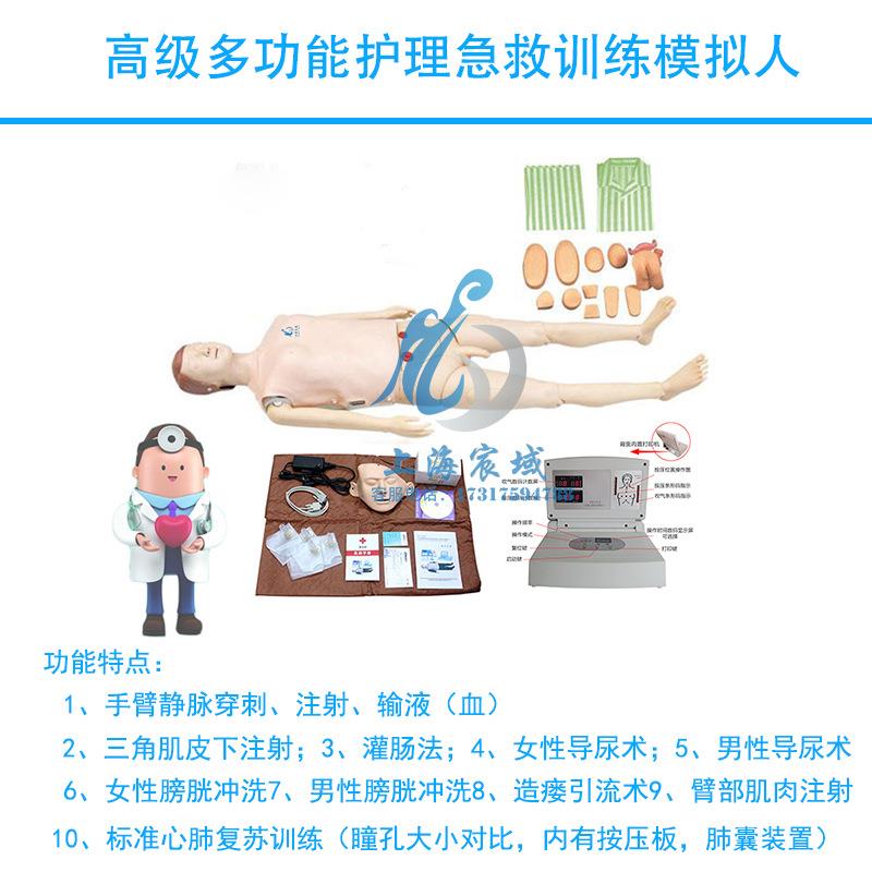 多功能急救护理综合模拟人医教学用模特假人心肺复苏模拟人CPR