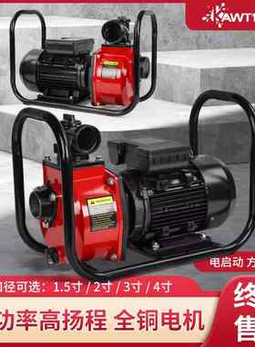 抽水泵农用灌溉大流量电动抽油泵220V两用导油卸油泵离心泵自吸