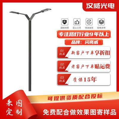 厂家LED市电路灯6米8米市政道路双臂路灯城市公路道路照明灯