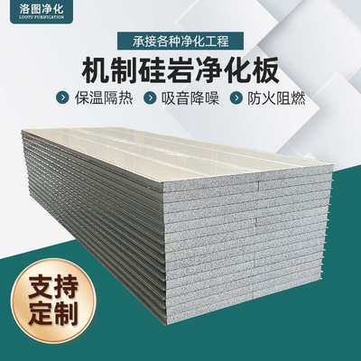 净化板硅岩彩钢板保温隔热洁净板无尘车间工程隔墙建材防火泡沫板