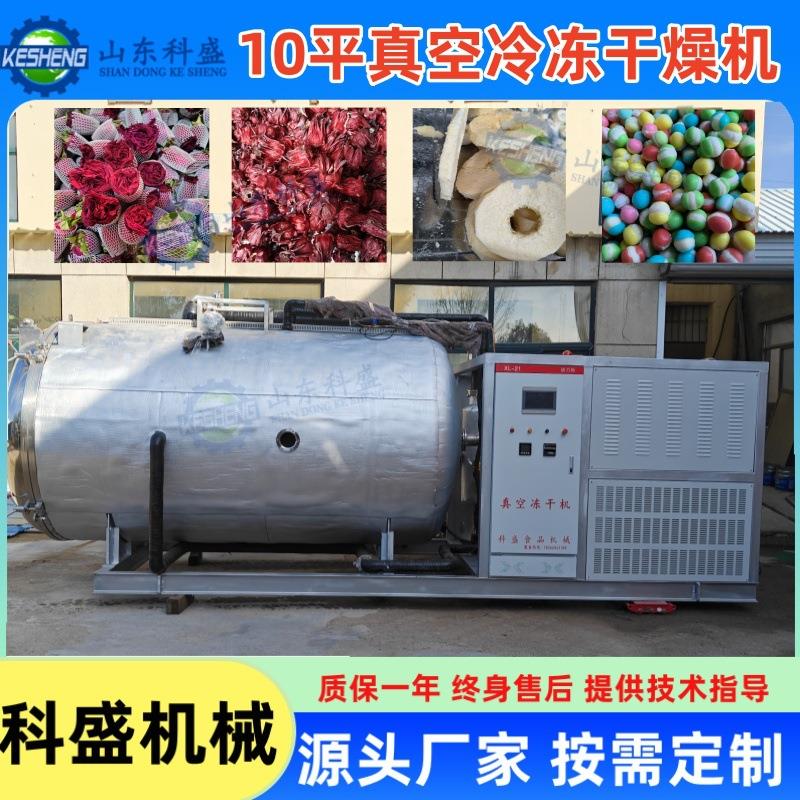金桔柠檬片冻干机 桂花全自动真空冷冻干燥机 洛红花冻干机