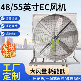 供应48英寸玻璃钢外壳负压风机厂房通风降温永磁电机风机可定制