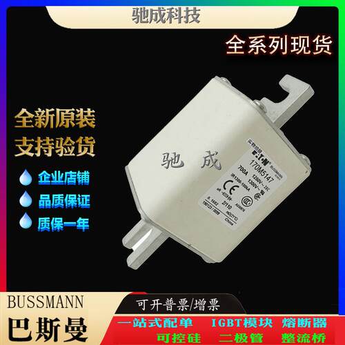 巴斯曼170M5174 170M5175 170M5176 现货供应厂价直供 高速熔断器