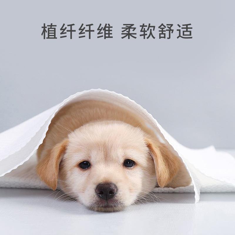 新款直销丝诺依宠物吸水毛巾狗狗泰迪金毛猫咪洗澡浴巾一次性毛巾