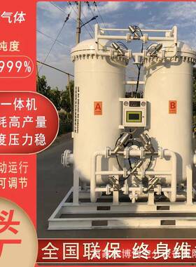 大型工业制氮机变压吸附双塔制氮机通用制氮设备氮气机实验室制氮
